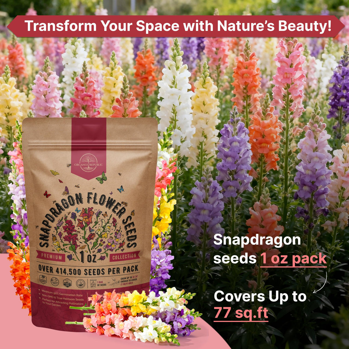 Cosmos Flower Seeds Pack 1 oz - 4,500 Non-GMO Heirloom Annual Seeds for Planting Indoor & Outdoor Gardening, Flower Seed for Garden in Resealable Packet, Floral Mix for Pollinators Perennial Mix Father Jim Norris notebooks