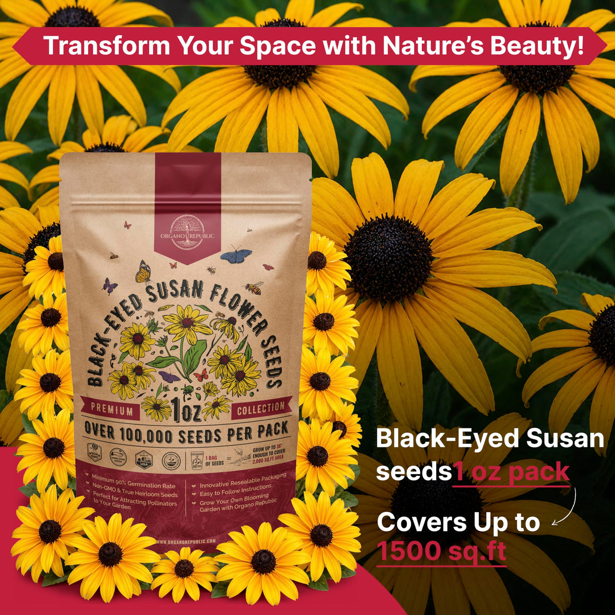 Cosmos Flower Seeds Pack 1 oz - 4,500 Non-GMO Heirloom Annual Seeds for Planting Indoor & Outdoor Gardening, Flower Seed for Garden in Resealable Packet, Floral Mix for Pollinators Perennial Mix Father Jim Norris notebooks