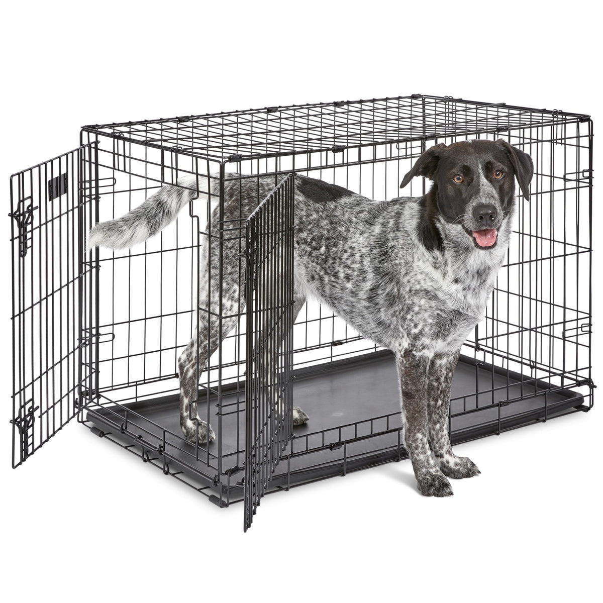 Midwest 36-Inch Single Door iCrate, for Medium-Large Breeds, 41-70 lbs