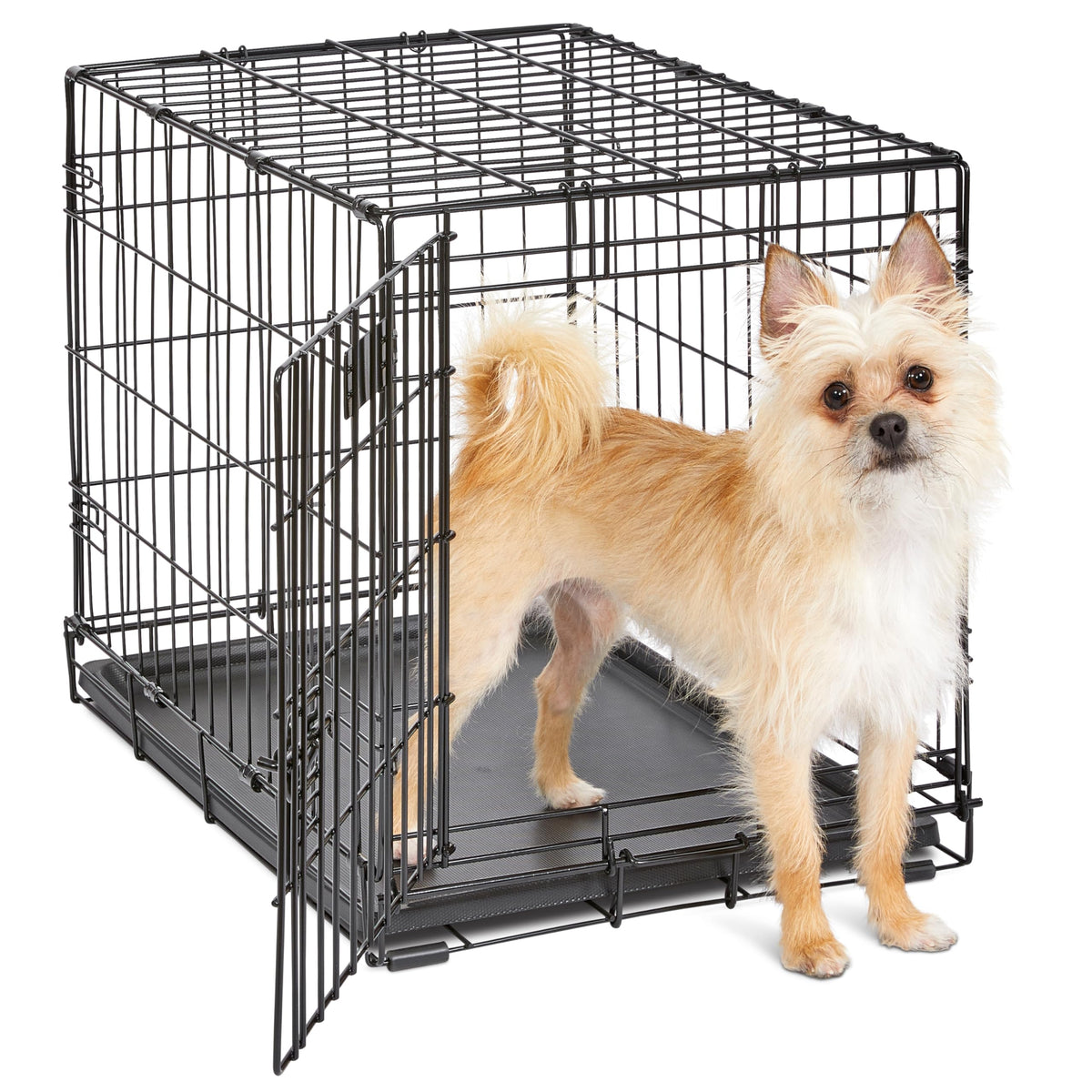 Midwest 36-Inch Single Door iCrate, for Medium-Large Breeds, 41-70 lbs