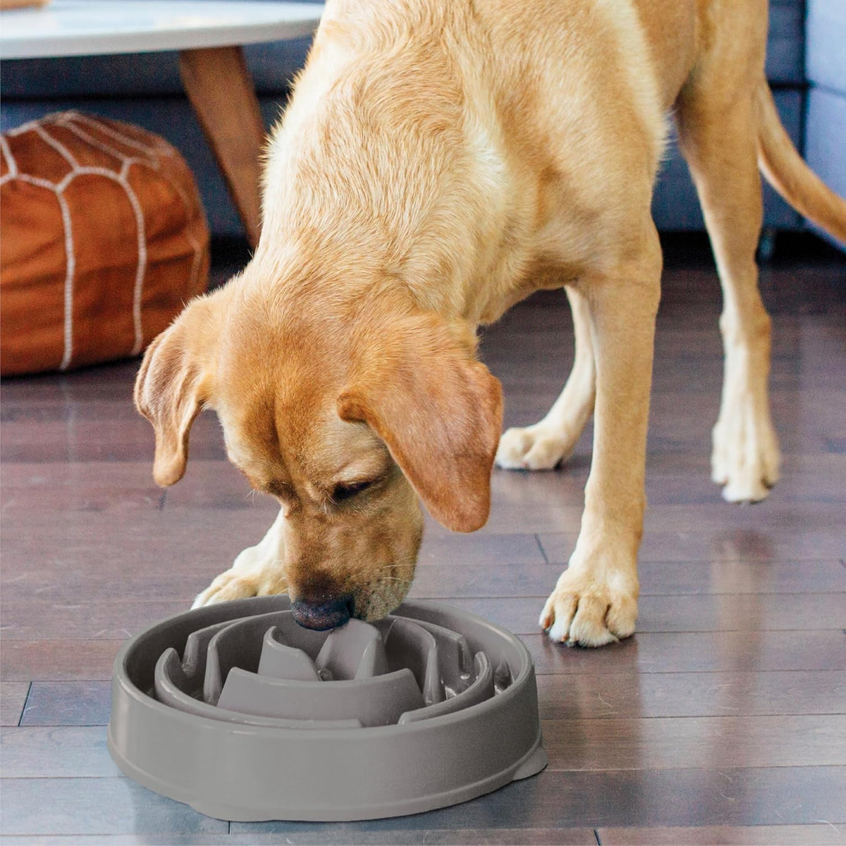 Outward Hound Fun Feeder Slo Bowl Dog Slow Feeder, Notch, Blue, 8.8"