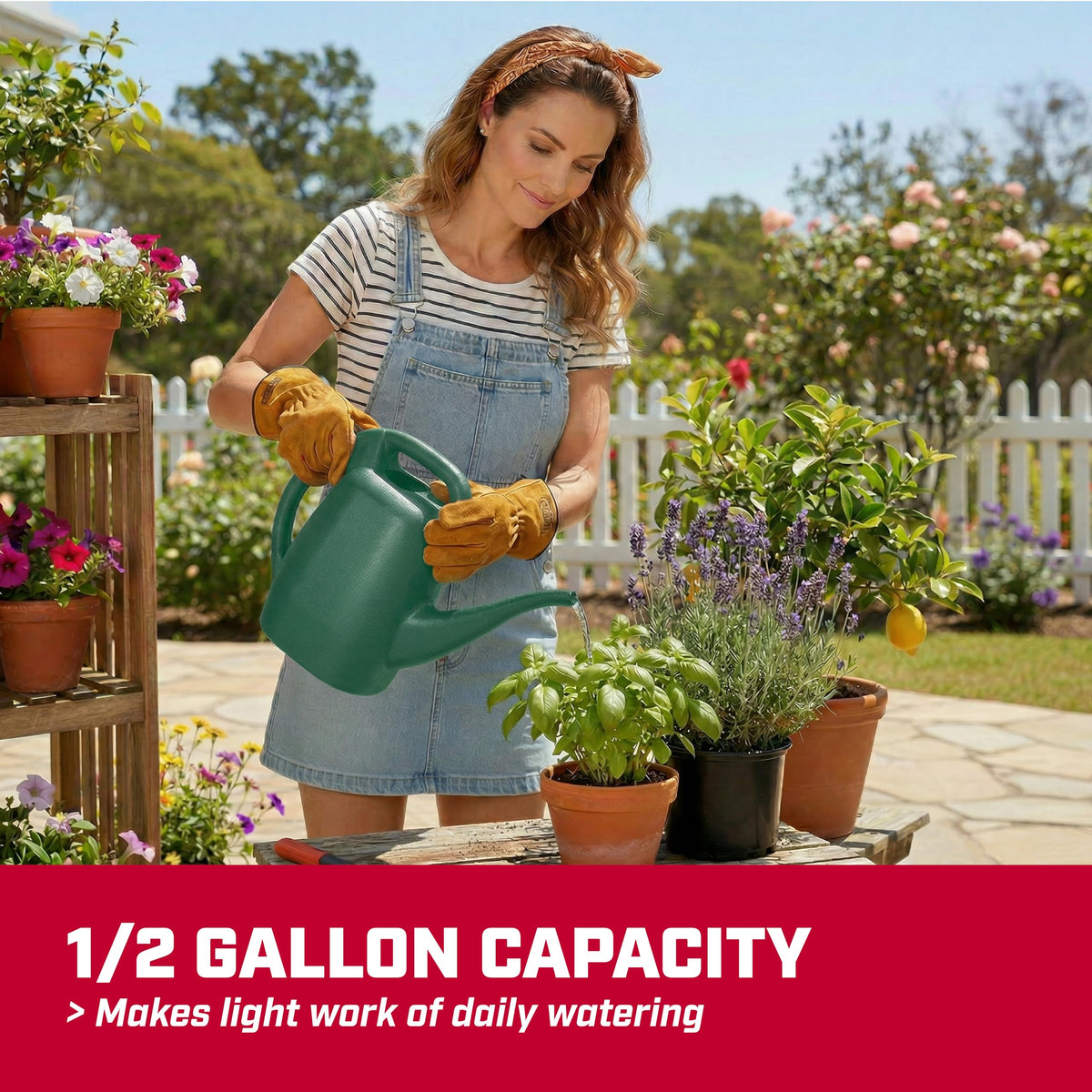 CHAPIN 48000 1/2-Gallon Watering Can, Lightweight for Easy Watering Father Jim Norris notebooks