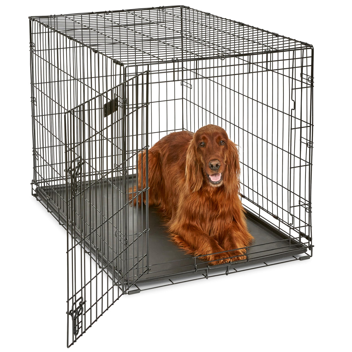 Midwest 36-Inch Single Door iCrate, for Medium-Large Breeds, 41-70 lbs