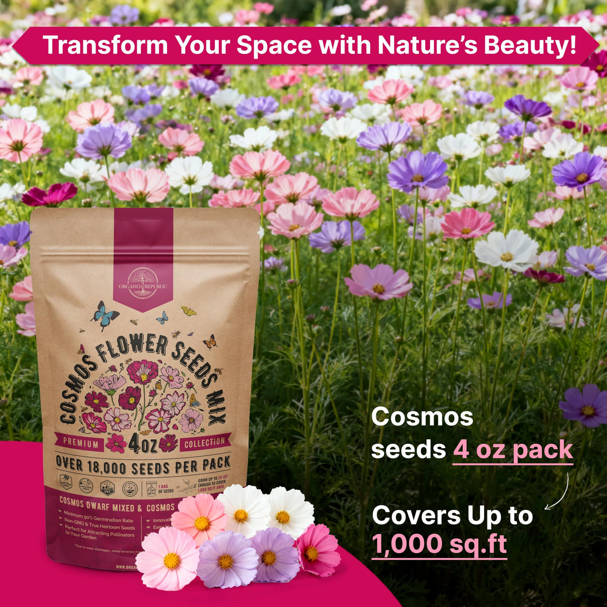 Cosmos Flower Seeds Pack 1 oz - 4,500 Non-GMO Heirloom Annual Seeds for Planting Indoor & Outdoor Gardening, Flower Seed for Garden in Resealable Packet, Floral Mix for Pollinators Perennial Mix Father Jim Norris notebooks