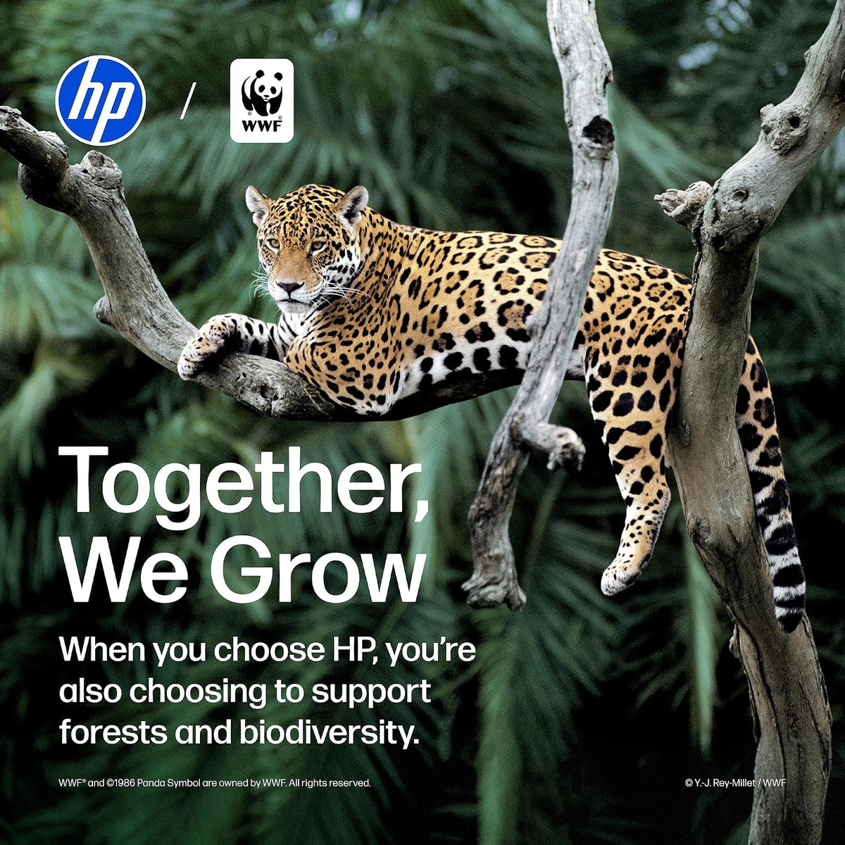 HP DeskJet 2955 Color Inkjet Printer | Wireless | All-in-One Father Jim Norris notebooks