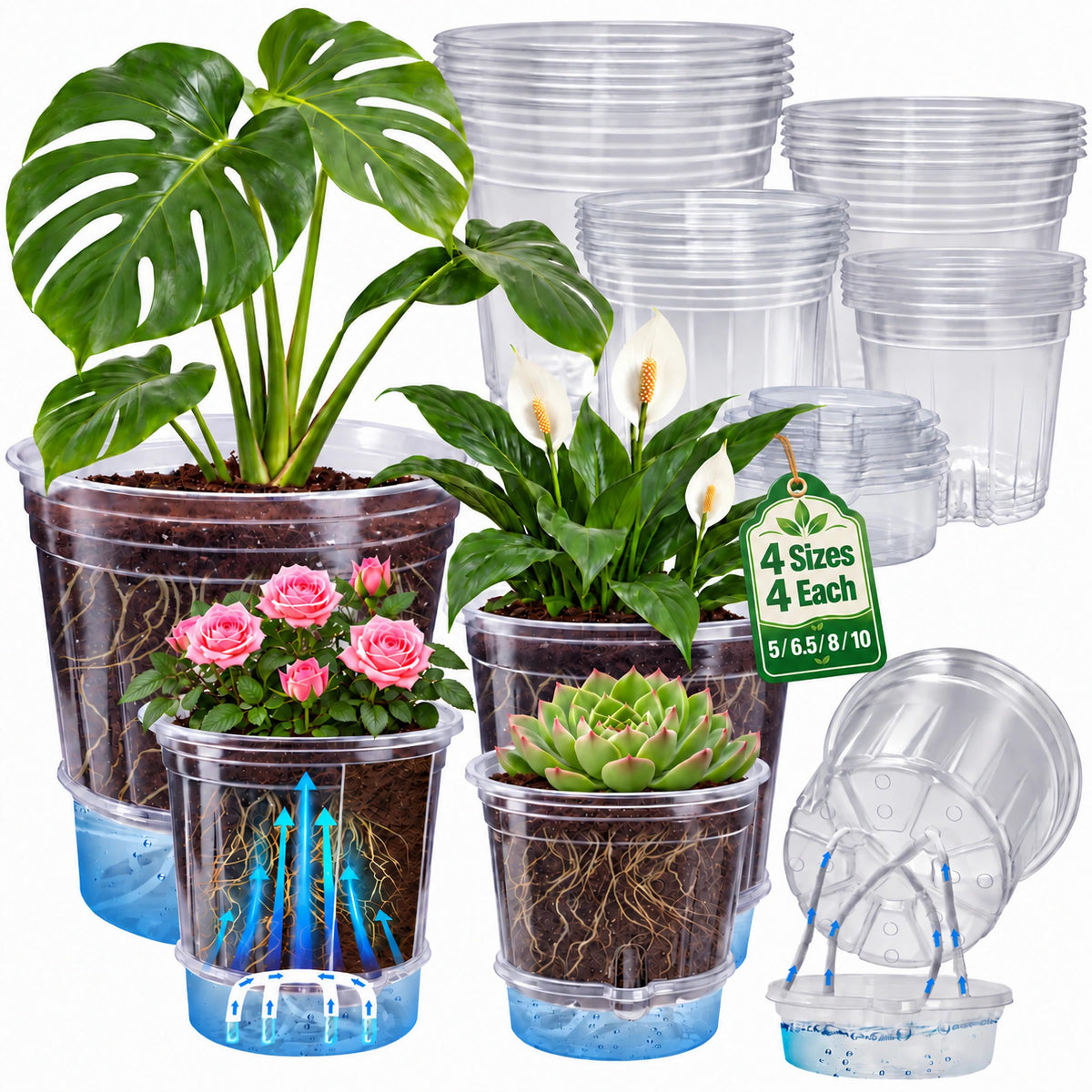 Bluepro Clear Nursery Pots with Humidity Domes, 4 Inch, 30-Pack Father Jim Norris notebooks