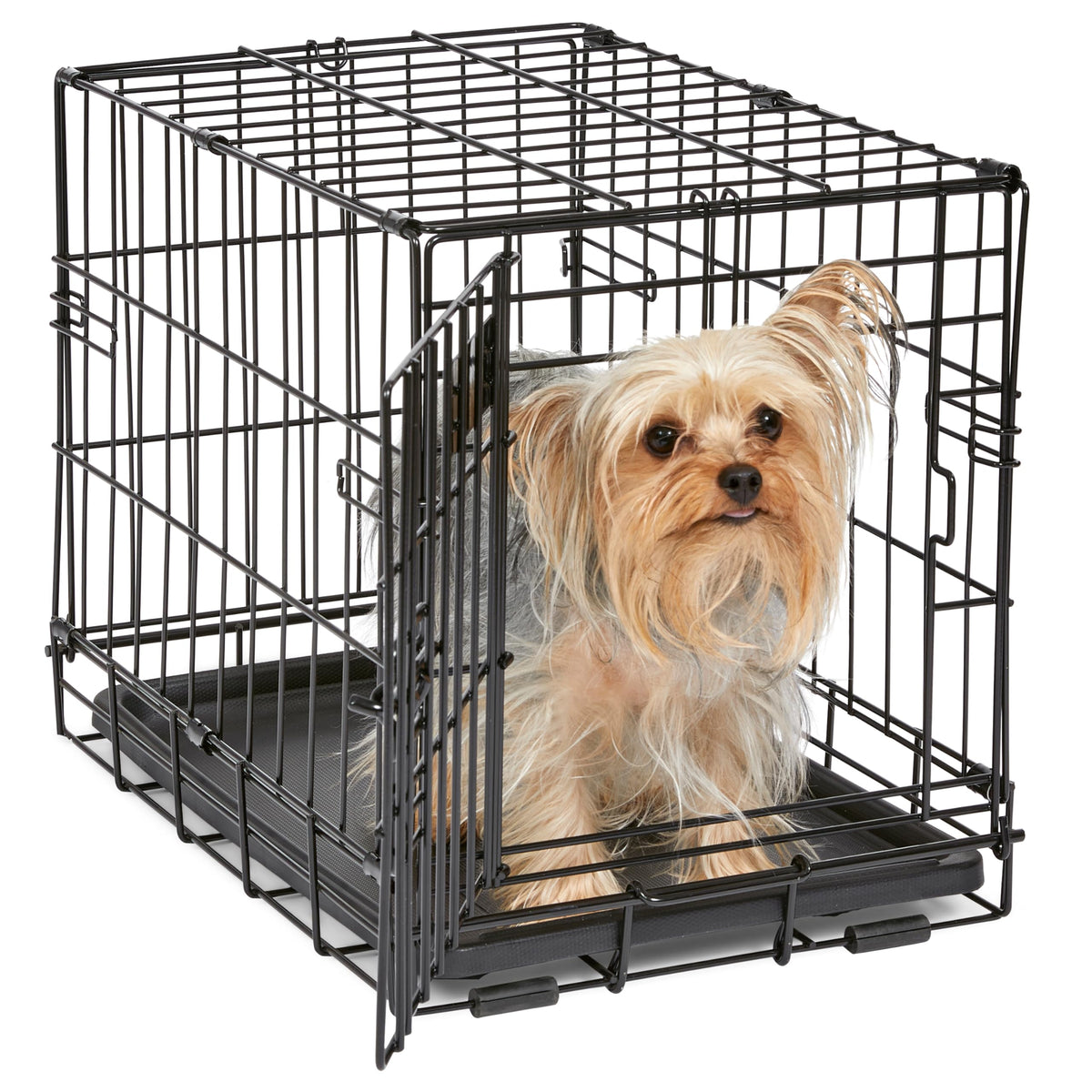 Midwest 36-Inch Single Door iCrate, for Medium-Large Breeds, 41-70 lbs