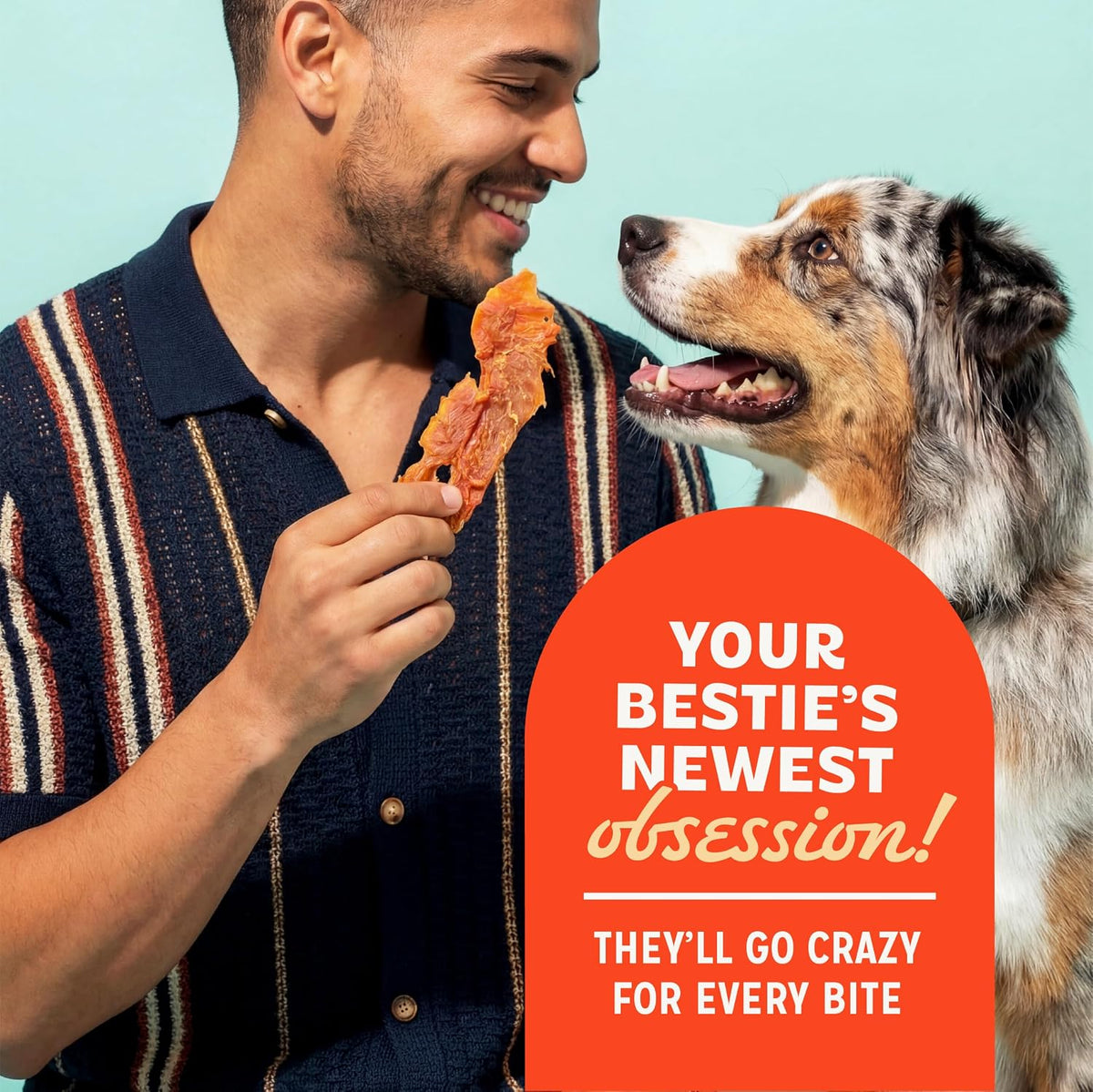 Pur Luv Dog Treats, Chicken Jerky Dog Treat with Real Chicken Breast, 16 oz Father Jim Norris notebooks