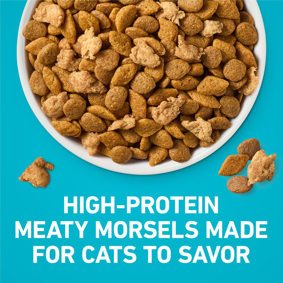 Purina ONE Tender Selects Dry Cat Food, Salmon, 7 lb Bag