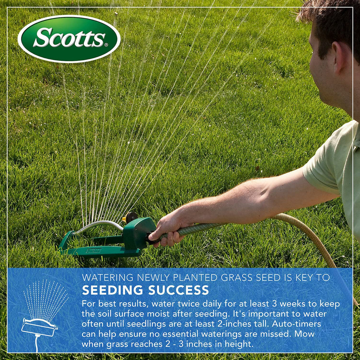 Scotts EZ Seed Patch & Repair Sun and Shade, 10 lbs. Father Jim Norris notebooks