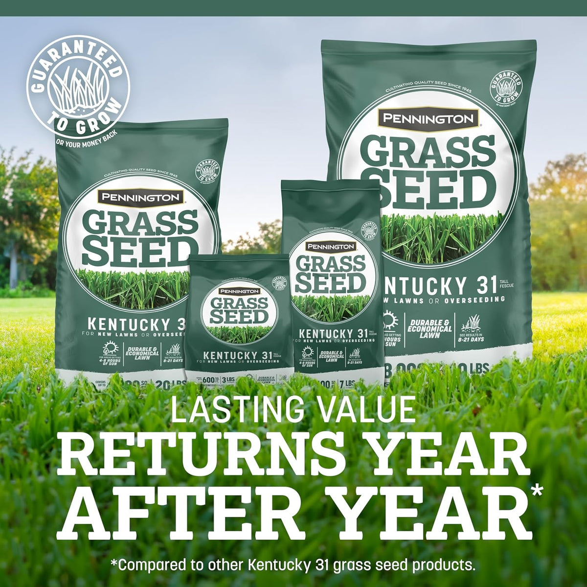 Pennington Kentucky 31 Tall Fescue Grass Seed, Drought-Resistant, 7 LB Father Jim Norris notebooks