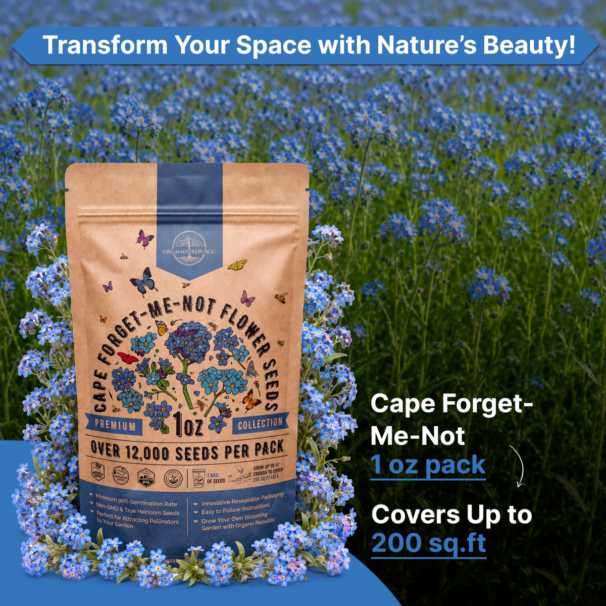 Cosmos Flower Seeds Pack 1 oz - 4,500 Non-GMO Heirloom Annual Seeds for Planting Indoor & Outdoor Gardening, Flower Seed for Garden in Resealable Packet, Floral Mix for Pollinators Perennial Mix Father Jim Norris notebooks