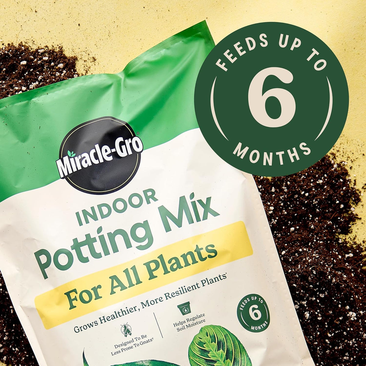 Miracle-Gro Indoor Plant Grow, Feed & Protect Houseplant Care Bundle Father Jim Norris notebooks