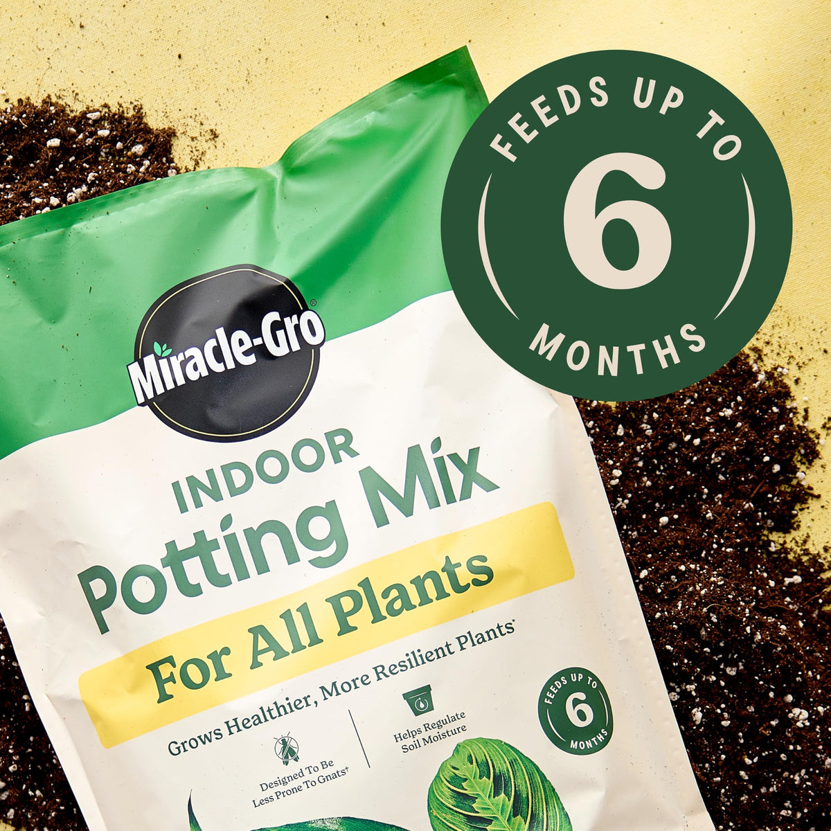 Miracle-Gro Indoor Plant Grow, Feed & Protect Houseplant Care Bundle Father Jim Norris notebooks