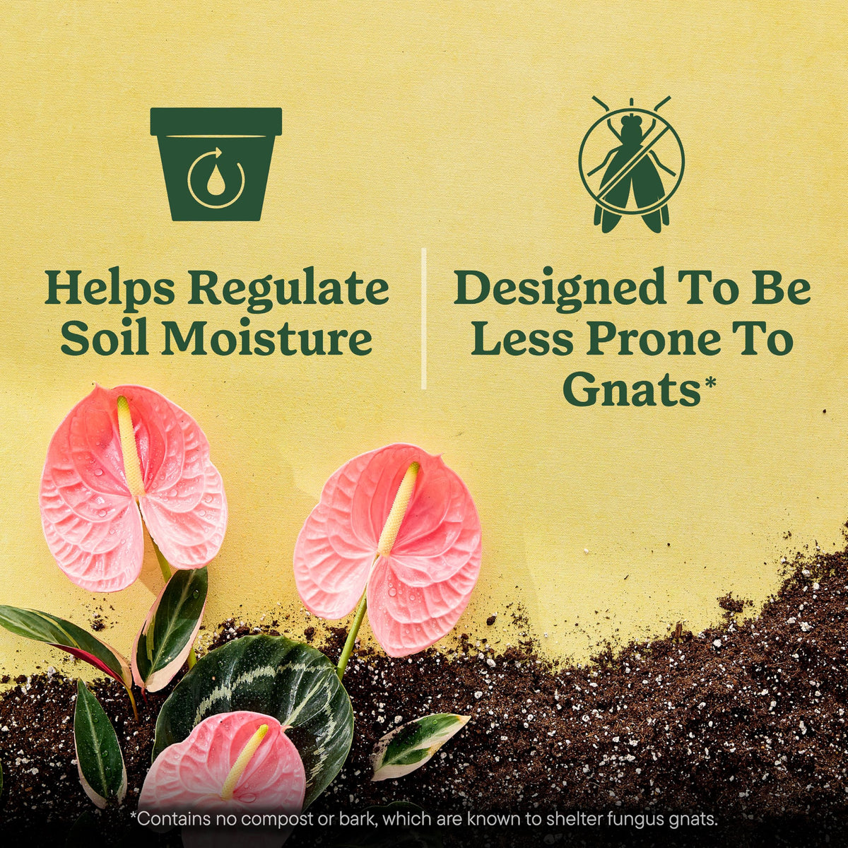 Miracle-Gro Indoor Plant Grow, Feed & Protect Houseplant Care Bundle Father Jim Norris notebooks